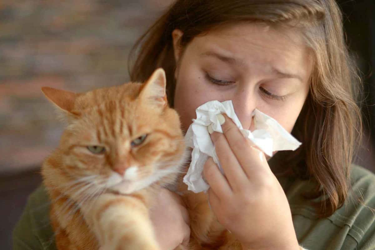 Bild von einer Frau mit ihrer Hauskatze, die sich mit einem Taschentuch schnäuzt, weil sie eine Katzenallergie hat